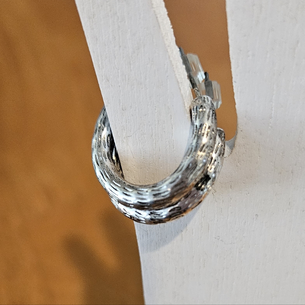 Nwt's - Shyanne - Punchy Small Silver Tone Loop Earrings